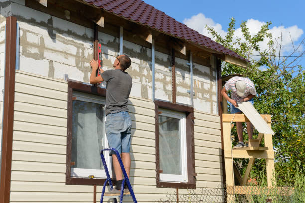 Best Weatherproofing and Sealing  in Mcdonough, GA